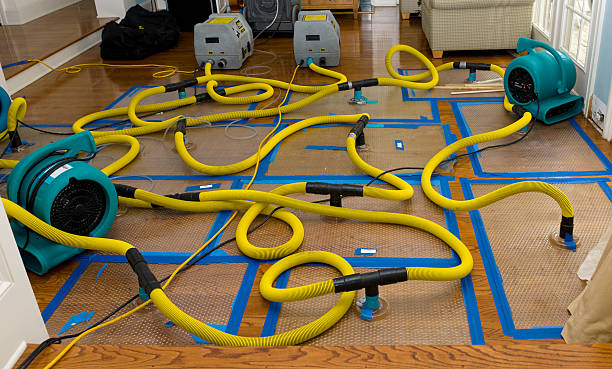 Professional Burst Pipe Water Damage technician working in Sayreville, NJ